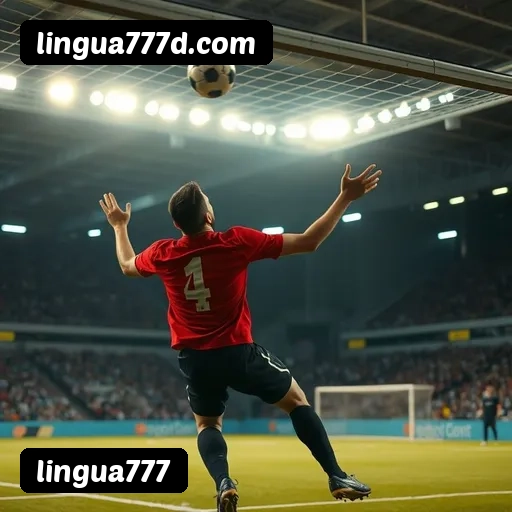 Comparação APP mobile vs versão web da lingua777